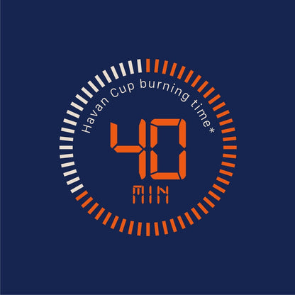 Vedika Natural Guggul Havan Cups | 15 Havan Pcs + 15 camphor tablets + 1 Free Wooden Stand